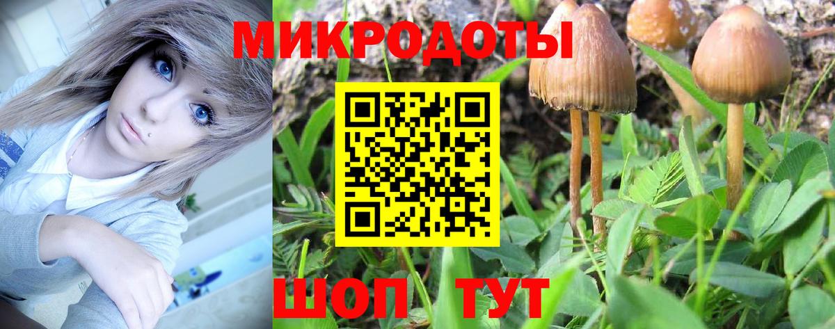 Галлюциногенные грибы MAGIC MUSHROOMS Санкт-Петербург
